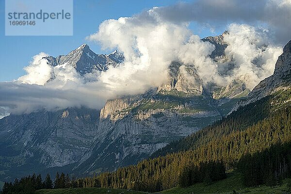 Blick vom Pfingstegg  Wolken um den Gifel des Chrinnenhorn und Wetterhorn  Jungfrauregion  Grindelwald  Bern  Schweiz  Europa