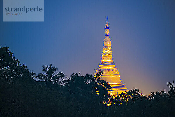 Fernblick auf die vergoldete Shwedagon-Pagode  die sich bei Nacht über Palmen erhebt  Yangon  Region Yangon  Myanmar