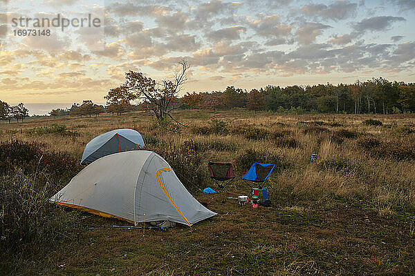 Beleuchtete Backpacker-Zelte auf einem Feld kurz vor Sonnenaufgang.