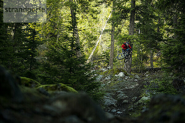 Mountainbiker springt den moosigen Pnw-Trail in Washington hinunter