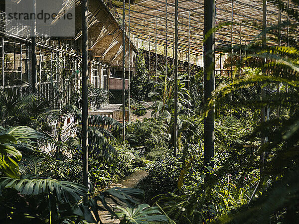 Architekturaufnahmen in den Botanischen Gärten von Estufa Fria