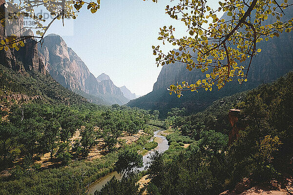 Zion Canyon und der Virgin River an einem sonnigen Nachmittag im Herbst