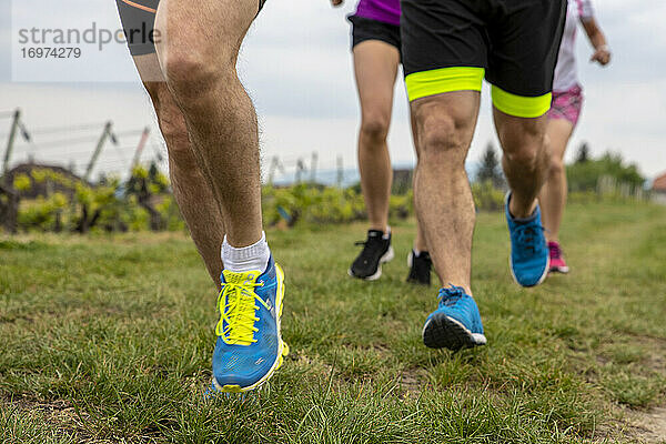 Lauftraining mit Mehrbeiner-Ansicht