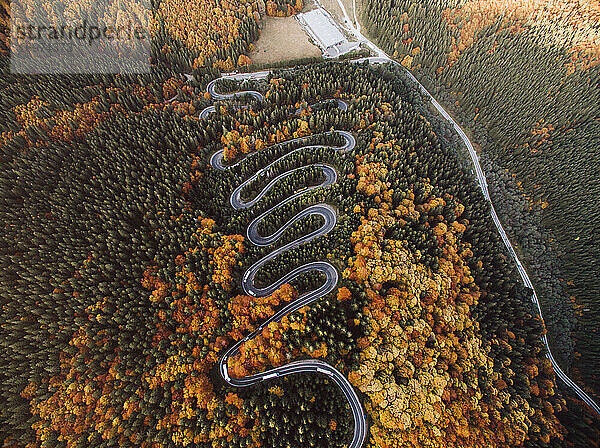 Luftaufnahme einer kurvenreichen Straße und Autos im Herbst