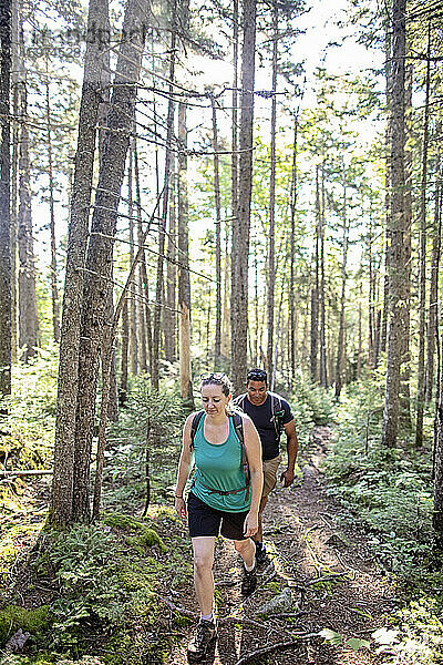 Mehrrassiges Paar wandert durch die Wälder von Maine auf dem Appalachian Trail