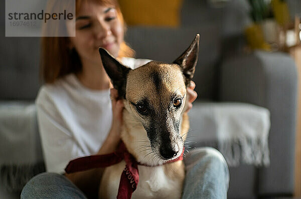 Unscharfer Besitzer kratzt sich am Kopf des Hundes