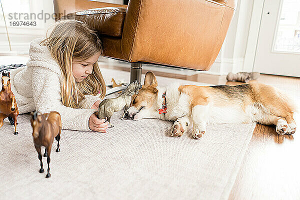 Seitenansicht eines blonden Mädchens  das mit Spielzeugpferden spielt  während der Corgi-Hund schläft