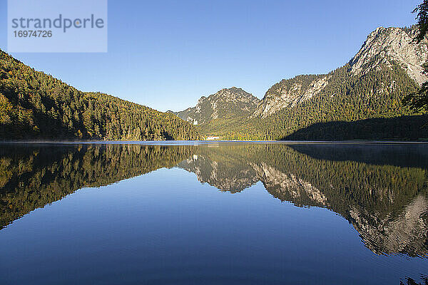 Ein kristallklarer Morgen am Alpsee in Bayern  Deutschland