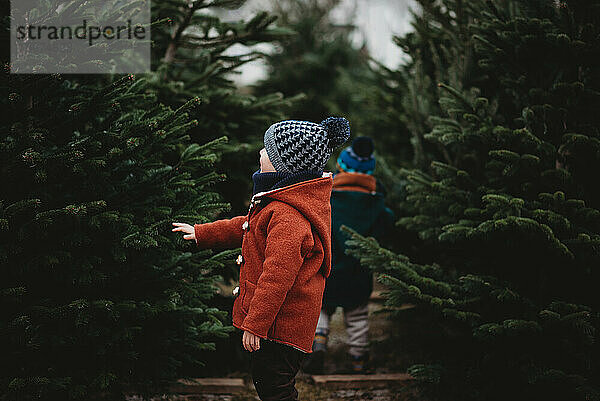 Junge in rotem Wollmantel  der in der Weihnachtszeit einen Baum berührt