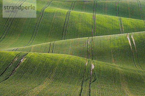 Idyllische Aussicht auf hügelige Felder in der Nähe von Kyjov  Bezirk Hodonin  Südmährische Region  Mähren  Tschechische Republik