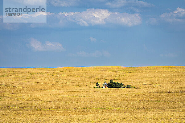 Landschaftliche Ansicht einer Scheune auf einem Feld in der Nähe von Kyjov  Bezirk Hodonin  Südmährische Region  Mähren  Tschechische Republik