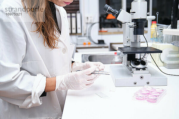 Unbekannte junge Wissenschaftlerin bereitet Proben vor  um sie durch ein Mikroskop in einem Labor zu betrachten. Konzept der Laborforschung.