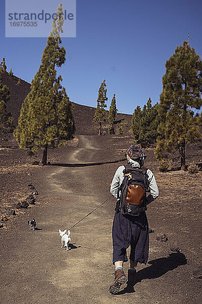Wanderer geht mit zwei Chihuhua-Hunden durch trockene Wüstenvulkanhügel