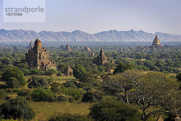 Blick von oben auf die alten Tempel von Bagan  Bagan  Mandalay Dis