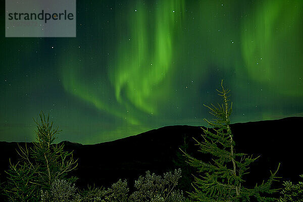 die Aurora Borealis erhellen den Himmel in Südgrönland