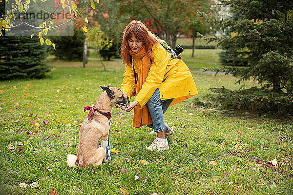 Junger Besitzer gibt seinem Hund Leckerlis