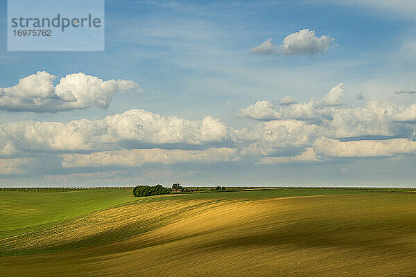 Landschaftliche Ansicht eines hügeligen Feldes gegen den Himmel bei Kyjov  Bezirk Hodonin  Südmährische Region  Mähren  Tschechische Republik