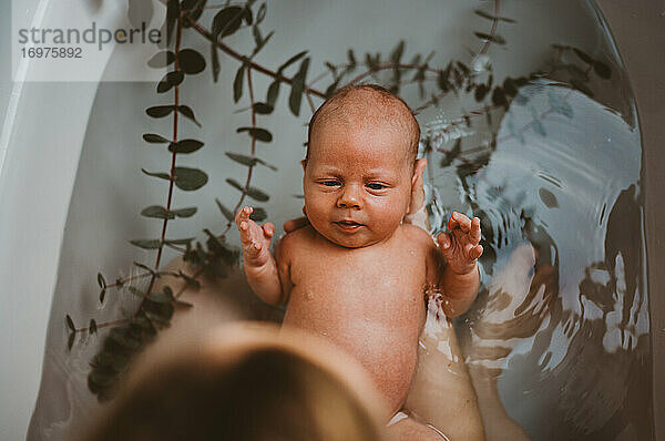 Draufsicht auf ein Baby in der Badewanne mit Eukalyptusblättern nach der Geburt