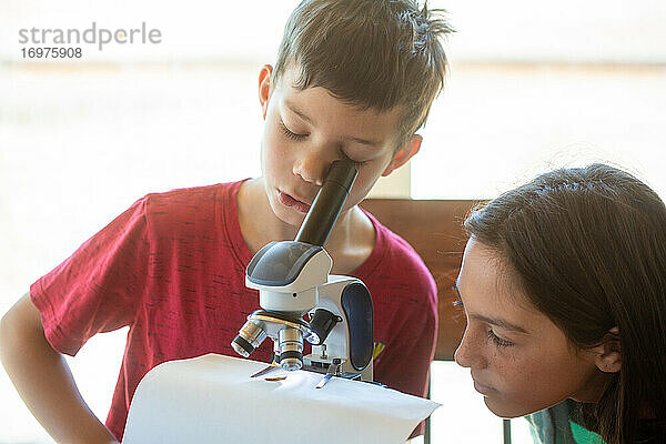 Junge schaut in ein Mikroskop  Mädchen schaut zu