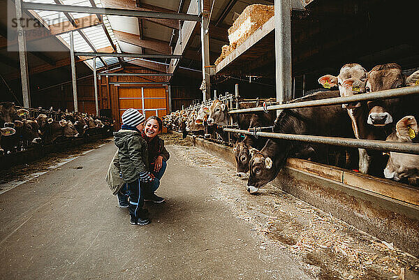 Mutter lächelt und Kind betrachtet Kühe im Stall im Winter