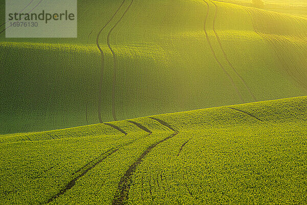 Idyllischer Blick auf hügelige Felder bei Kyjov bei Sonnenaufgang  Bezirk Hodonin  Südmährische Region  Mähren  Tschechische Republik