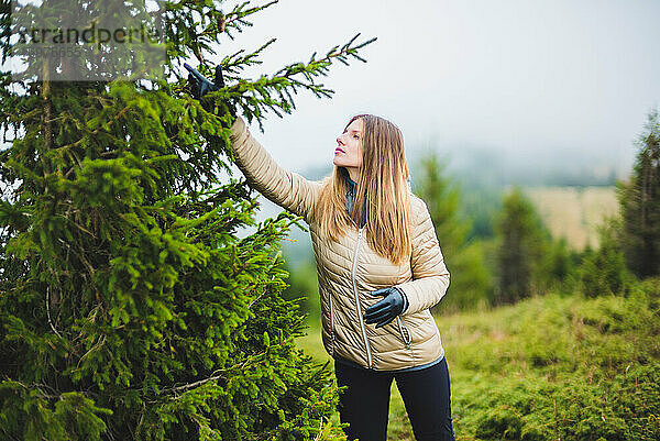 Blondes Mädchen am Tannenbaum