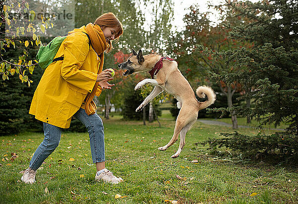 Fröhliche Dame gibt Ball an springenden Hund
