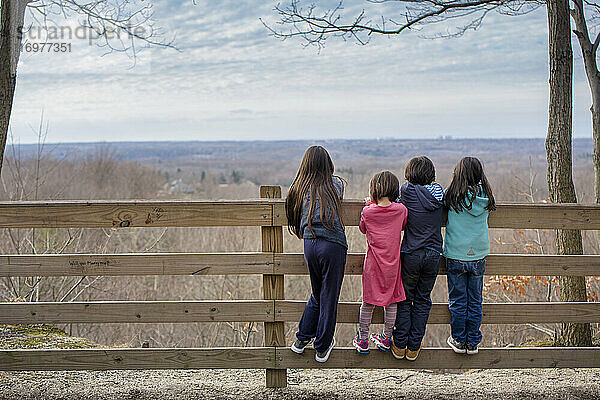 Vier Kinder stehen zusammen auf einem Zaun und blicken auf ein bewaldetes Tal