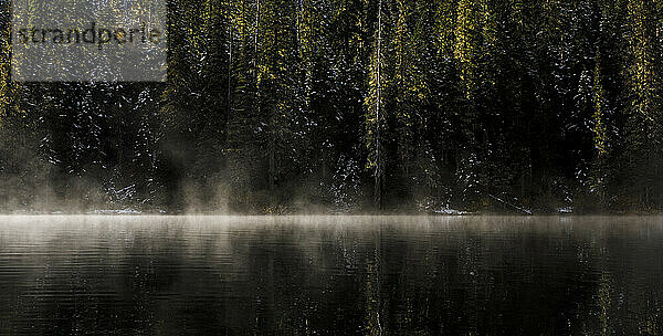 Ruhiger See an einem nebligen Tag inmitten von Wäldern in Kanada