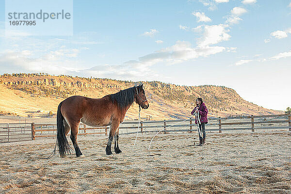 Pferd und kleines Mädchen schauen sich beim Training an
