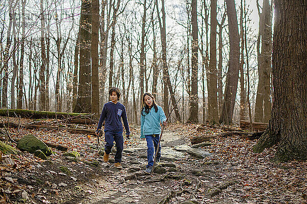 zwei Kinder gehen mit Wanderstöcken auf einem Waldweg im Herbst