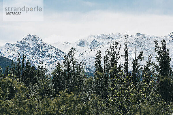 Landschaftliches Bild von Argentinien  Mendoza im Frühling