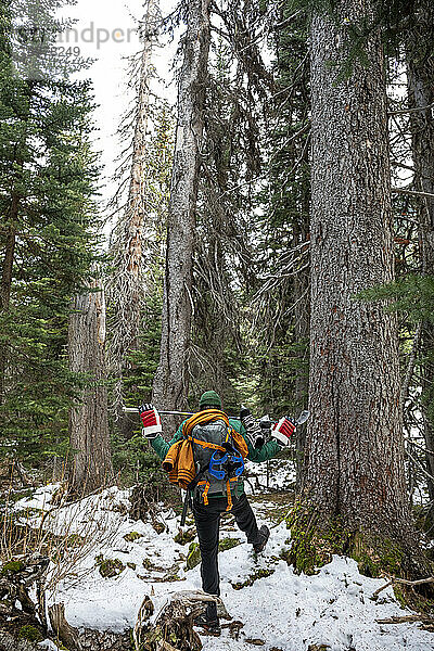 Rückenansicht eines anonymen Mannes mit Hockeyausrüstung  der im Winter in einem verschneiten Waldgebiet in British Columbia  Kanada  in der Nähe von Nadelbäumen spazieren geht