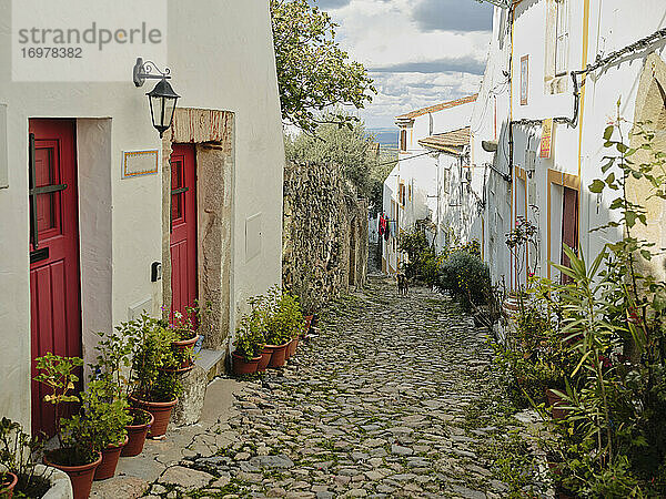 Alte  mit Kopfsteinpflaster gesäumte Dorfstraße in Castelo De Vide