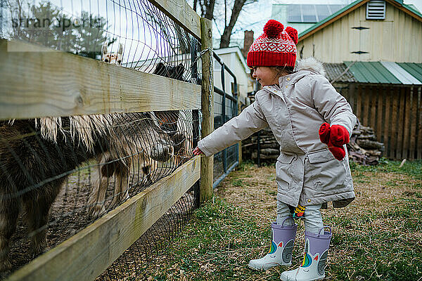 Junges Mädchen im Vorschulalter füttert Pony und Bauernhoftiere