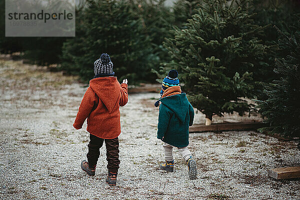 Rückansicht von Kindern  die auf einer Baumfarm Weihnachtsbäume pflücken