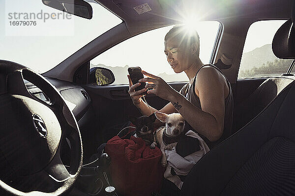 gesunder Mensch telefoniert im Auto mit Hunden auf dem Schoß und bei Sonnenschein