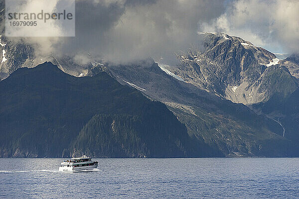 Touristenboot auf See in der Aialik Bay  Kenai Fjords National Park  Kenai Peninsula Borough  Southcentral Alaska  Alaska  USA