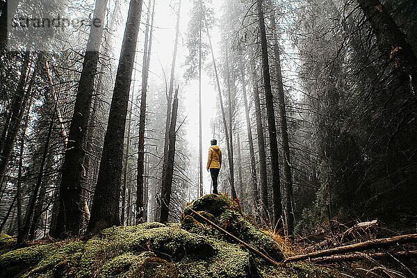 Junges Mädchen mit Blick auf den nebligen Wald und auf einem Felsen sitzend