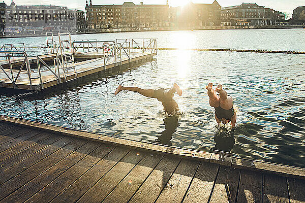 Zwei Freunde tauchen in Kopenhagen  Dänemark  ins eiskalte Wasser