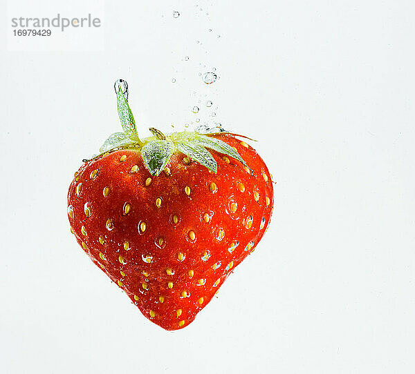Erdbeere fällt tief unter Wasser mit einem großen Spritzer. Frucht sinkt in klarem Wasser auf weißem Hintergrund