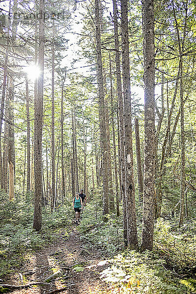 Junges Paar wandert durch den Wald auf dem Appalachian Trail in Maine