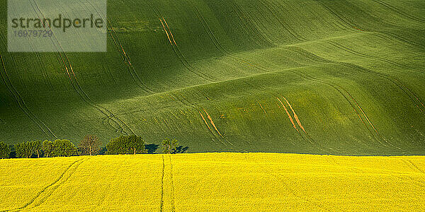 Landschaftliche Ansicht von hügeligen Feldern in der Nähe von Kyjov  Bezirk Hodonin  Südmährische Region  Mähren  Tschechische Republik