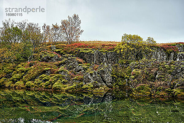 Malerische Herbstlandschaft am See mit felsigem Ufer und bunten Pflanzen