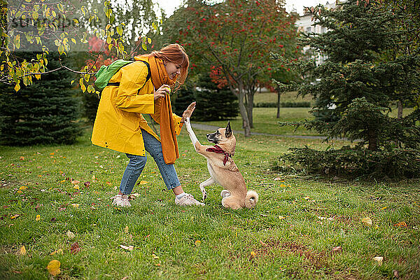 Junge Frau trainiert Hund  um High Five zu geben