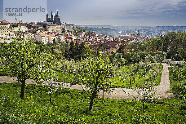 Prager Burg in der Stadt gegen bewölkten Himmel vom Park aus gesehen im Frühling  Prag  Böhmen  Tschechische Republik