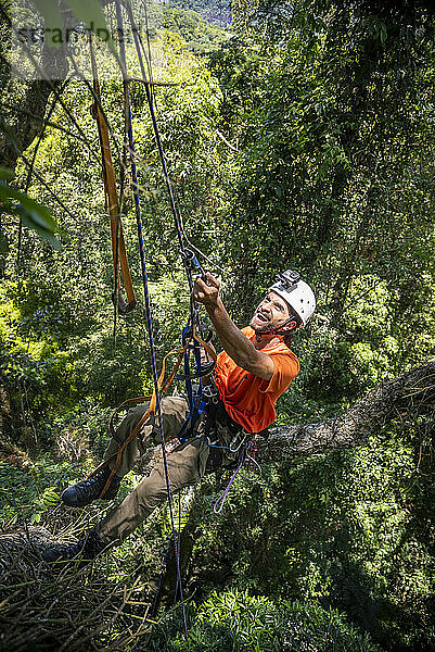 Mann klettert auf Baumkronen in grüner Regenwaldlandschaft