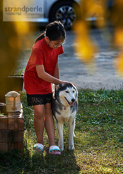 Ein Mädchen spielt mit einem sibirischen Husky im Garten