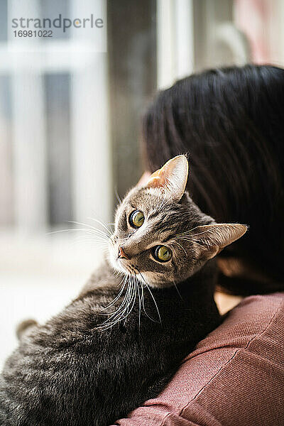 Frau hält eine Katze  die auf ihren Armen in der Nähe des Fensters in die Kamera schaut