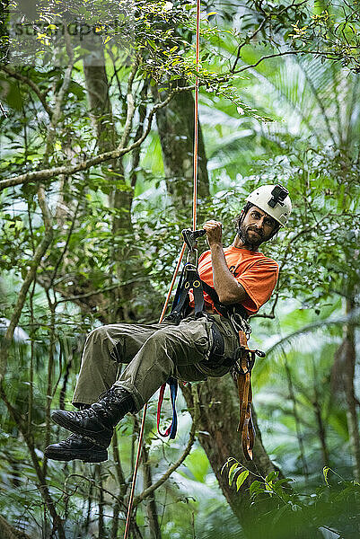 Baumkletternder Mann  der sich im schönen grünen Regenwald abseilt
